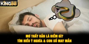 Mơ Thấy Rắn Là Điềm Gì? Tìm Hiểu Ý Nghĩa & Con Số May Mắn
