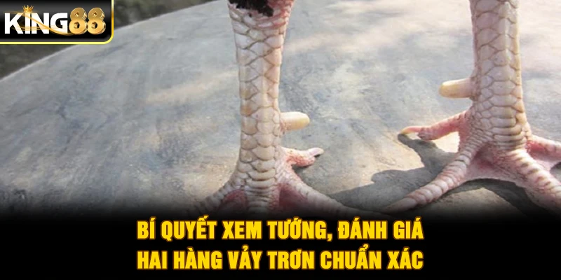 Bí quyết xem tướng, đánh giá hai hàng vảy trơn chuẩn xác