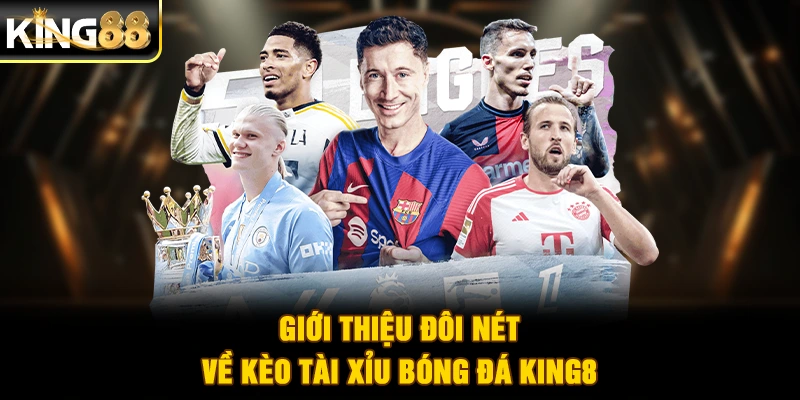 Giới thiệu đôi nét về kèo tài xỉu bóng đá King88