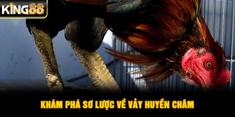 Khám phá sơ lược về vảy huyền châm